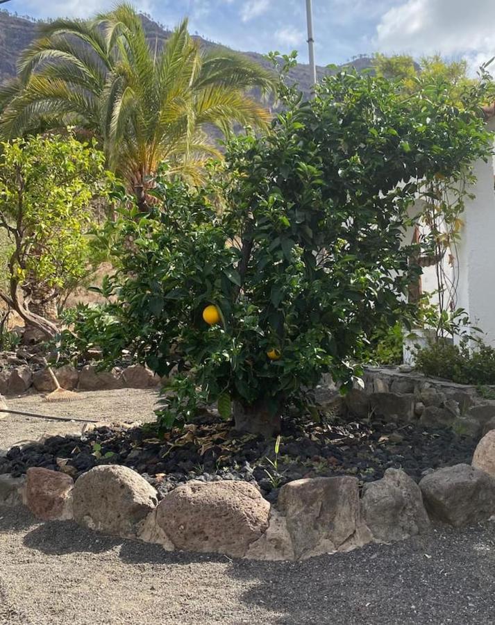 Casa Colonia Apartment Mogán